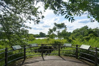 Fresh Creek Nature Preserve